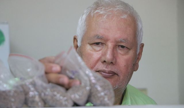 Türkiye'nin 'Dijital Toprak Haritası' oluşturuluyor
