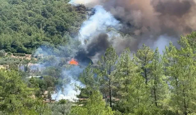 Silifke Kaymakamlığı’ndan kritik yangın uyarısı