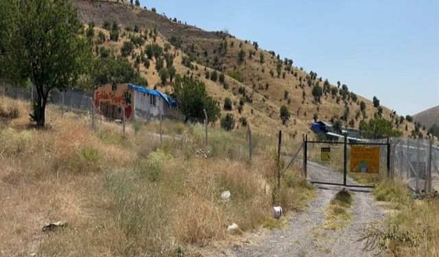 Hayvansever dernek başkanı cinayetinde kardeşi aranıyor