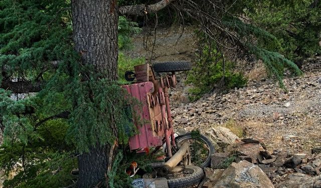 Motosikletiyle ağaca çarptı, hayatını kaybetti