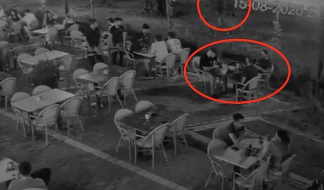 Ağacın arkasına gizlenip dehşet saçtı!