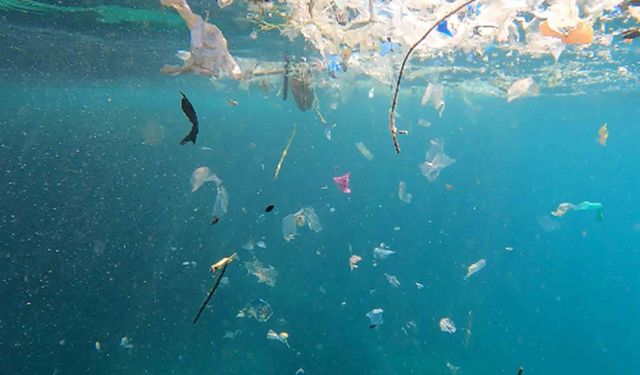 'Akdeniz'deki mikroplastik sorunu çözülmezse turizm sekteye uğrar'