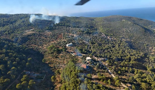 Antalya'da yangın çıktı