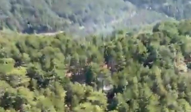 Orman yangını kontrol altına alındı