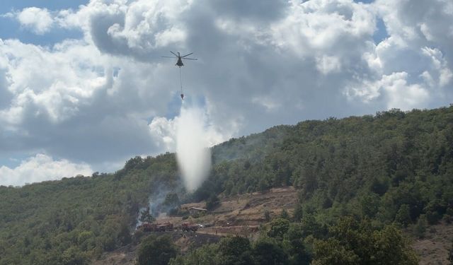Bursa'da orman yangını