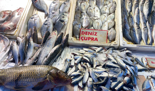 Mersin'de çupranın kilosu 400 TL