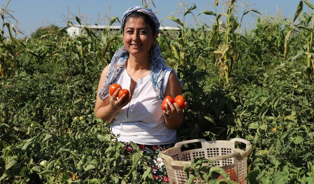 Gündüz eczacı, akşam çiftçi