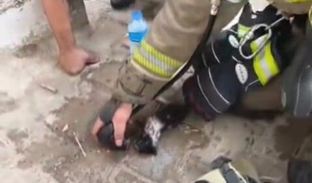 İtfaiye erlerinden, alevlerin arasından kurtardıkları kediye oksijen tedavisi