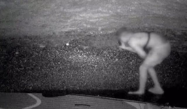 Koruma altındaki fokların yuvasına girdi: Fotokapana yakalandı