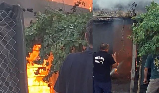 Mersin'de ailesiyle tartışıp, evini yakan şüpheli gözaltında