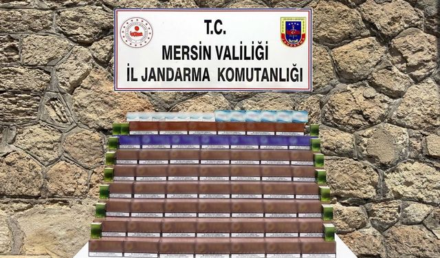 Mersin’de kaçak elektronik sigara operasyonu