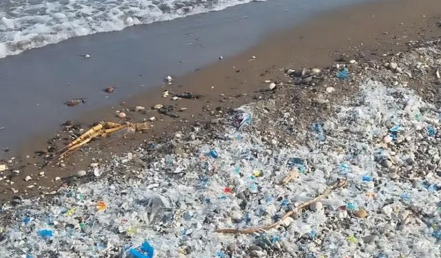 Mersin Çevre Platformu plastik atıkla mücadeleyi büyütüyor