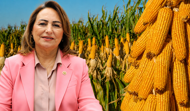 “Çiftçi hem doğa koşullarıyla hem de tüccarla mücadele ediyor”
