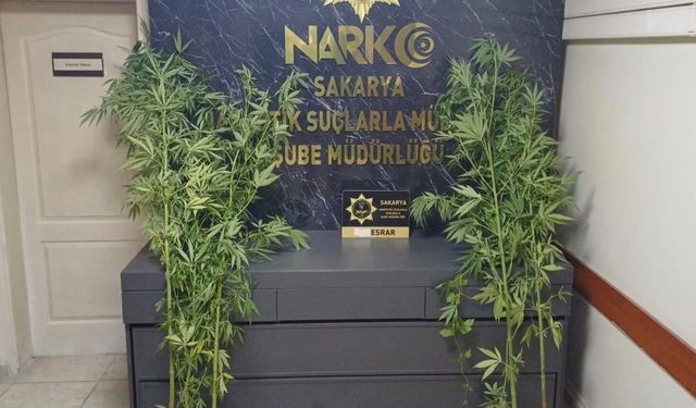 Sakarya’da uyuşturucu operasyonu; 1 tutuklama