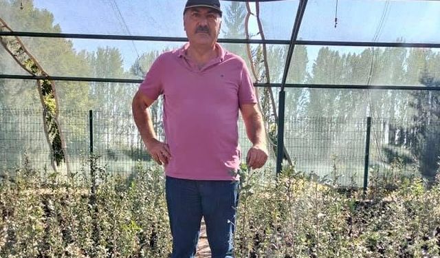 Mersin’in tropikal tarım rotası mango olabilir