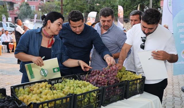 Para etmeyen üzümün festivalini yaptılar