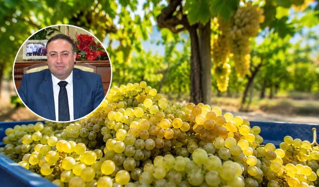 Üzüm üreticisi 11 TL'lik alım fiyatına tepkili