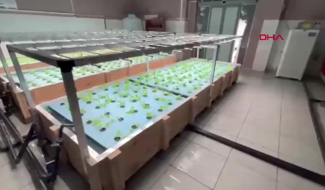 Balıkların atığı marula gübre oldu