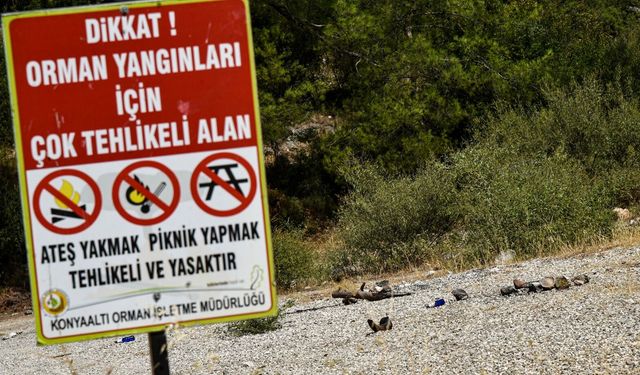 Yasağa rağmen ‘ormanda mangal' yakmaya devam ediyorlar