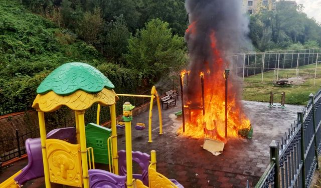 Zonguldak'ta 'üşüdüklerini' öne süren çocuklar kaydırağı ateşe verdi