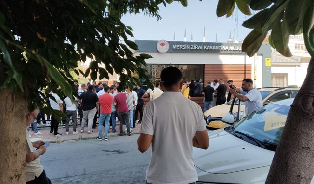 Zirai Karantina krizi gümrük müşavirleri ve ihracatçıları isyan ettirdi