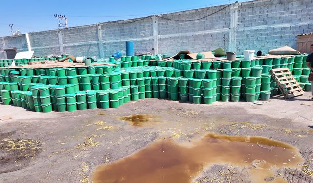 Mersin'de tonlarca bozuk turşu ele geçirildi