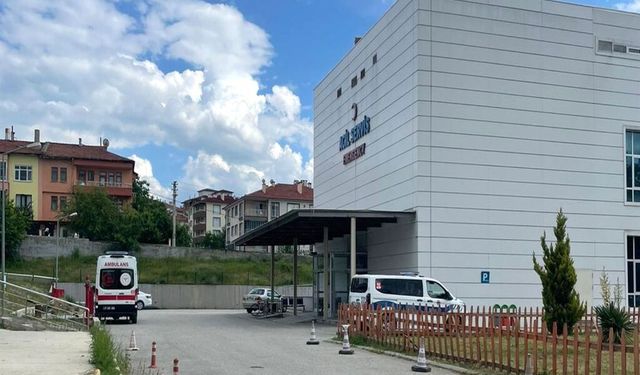 Arı sokması orman işçisinin sonu oldu