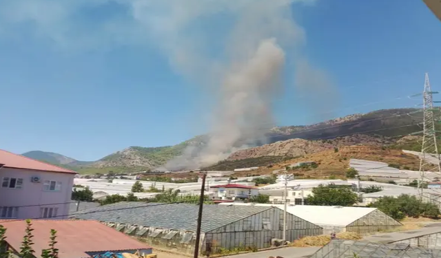 Mersin Bozyazı'da orman yangını