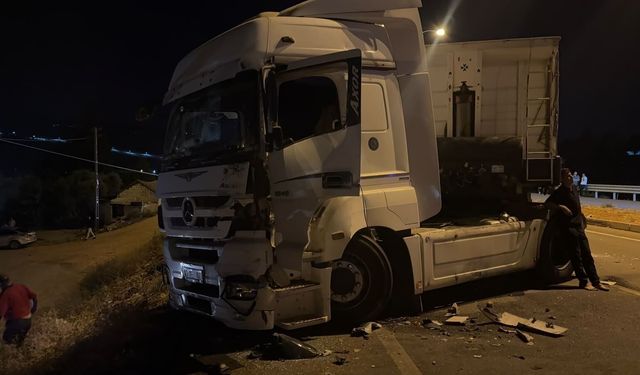 Sınır kapısında TIR şoförlerinin kavgası kanlı bitti