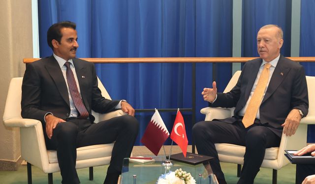 Cumhurbaşkanı Erdoğan ve Al Sani'den enerji gündemi