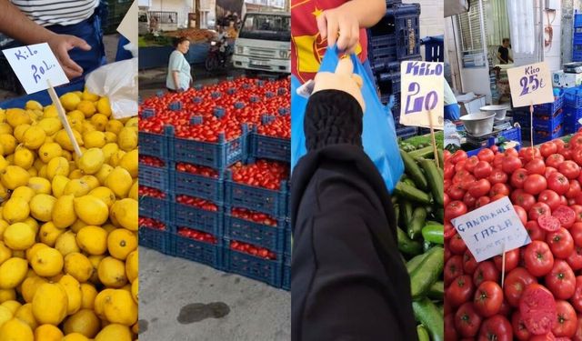 İstanbul’da fiyat düşüyor Mersin’de üreticinin canı yanıyor