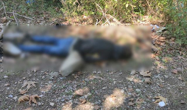 Dere kenarında tüfekli saldırı: 28 yaşındaki genç hayatını kaybetti