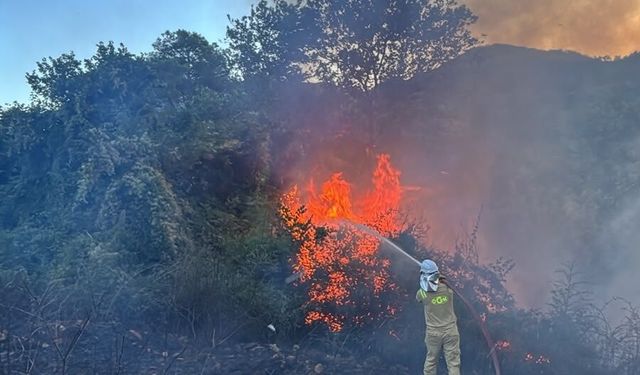 Kozan'da 2 ayrı noktada yangın çıktı yerleşim yerleri boşaltıldı