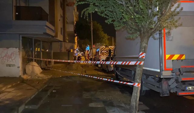Gezdirdiği köpeği elektrik akımına kapılarak öldü kendisi yaralandı