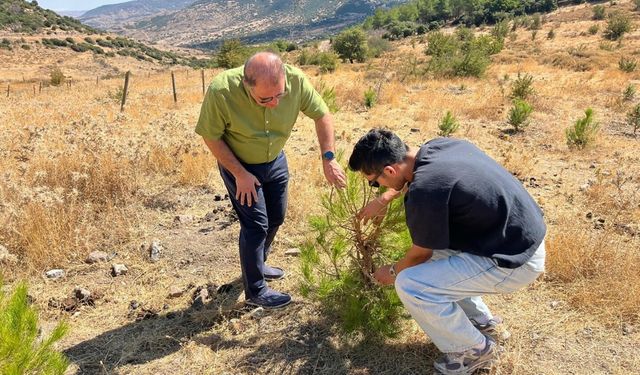 Kuraklığı önlemede 'su hasadı' yöntemi