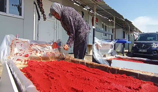 Kadınların 'salça' ve 'kurutmalık' telaşı başladı
