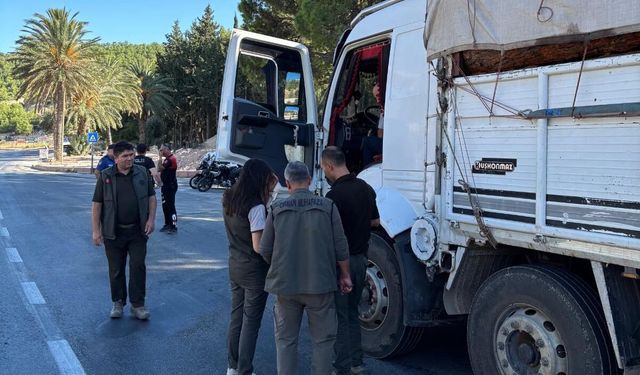 Silifke’de orman suçlarına karşı denetimler sürüyor