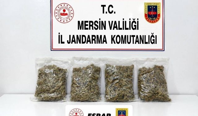 Mersin’de yasaklı madde operasyonu