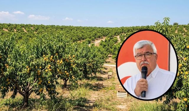 Mersin Ziraat Odası Başkanı Yılmaz’dan Tarım Kredi Kooperatifleri’ne çağrı