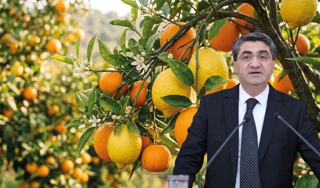 “Mersinli üreticimizin emeği heba olmamalı”