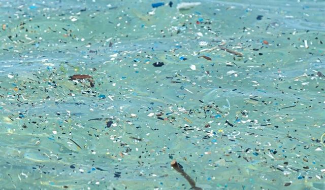 Plastik üretimindeki artış mikroplastik tehlikesini büyütüyor