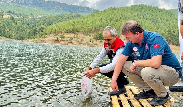 Mersin’de 17 göl ve gölete 347 bin yavru sazan bırakıldı