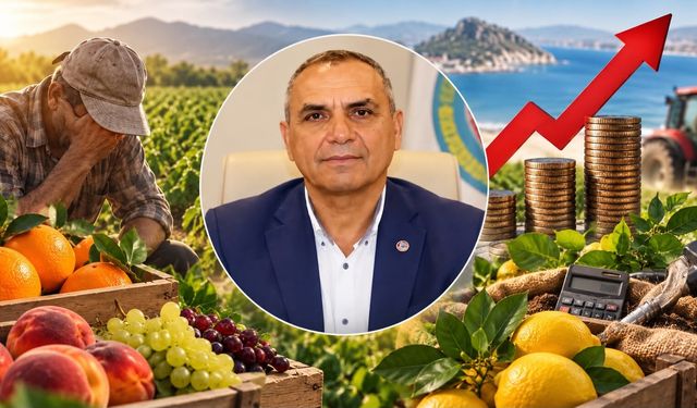 Üretici maliyeti karşılayamaz hale geldi