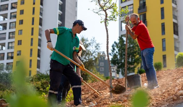 Mersin’in kavurucu sıcağına “yeşil” önlem