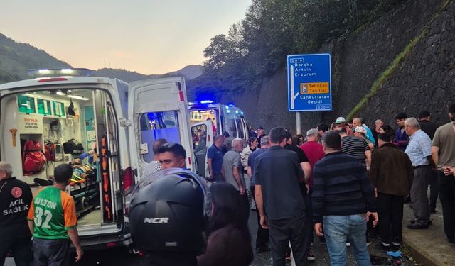 Kontrolden çıkan otomobil karşı şeride geçip duvara çarptı