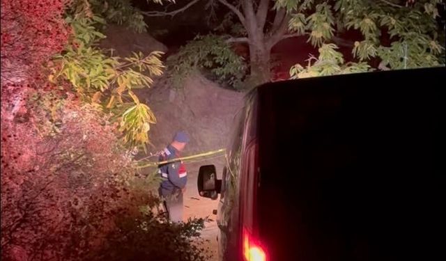 Kestane kozalakları tartışması silahlı saldırıyla bitti