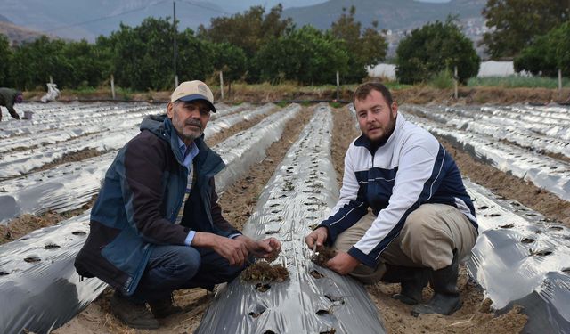 Kariyerini bıraktı! Köyde organik tarım yapıyor