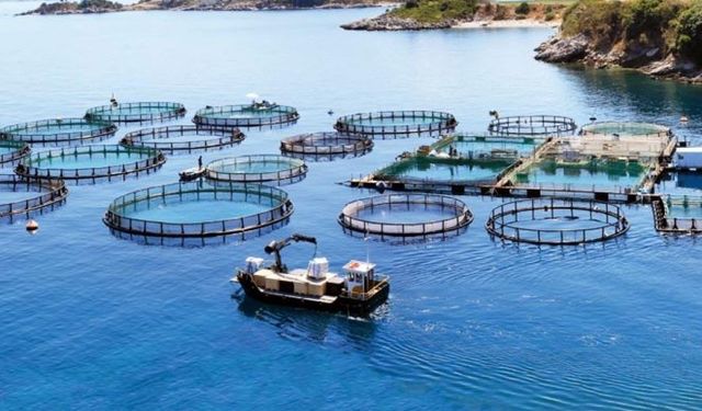 Anamur kıyılarında balık çiftliklerine karşı mücadele yeniden başlıyor
