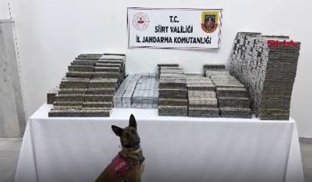 Kömür çuvallarından 10 bin paket kaçak sigara çıktı