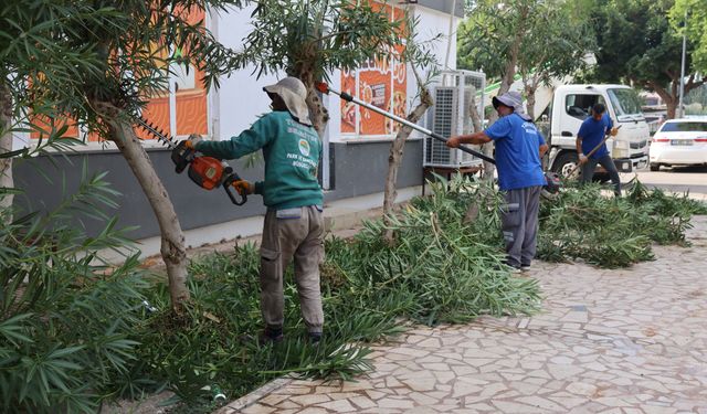 Toroslar’da ağaç budama ve bakım çalışmaları sürüyor